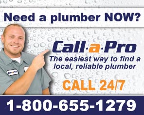 Call A Pro, Acworth Leak Detection & Repair.